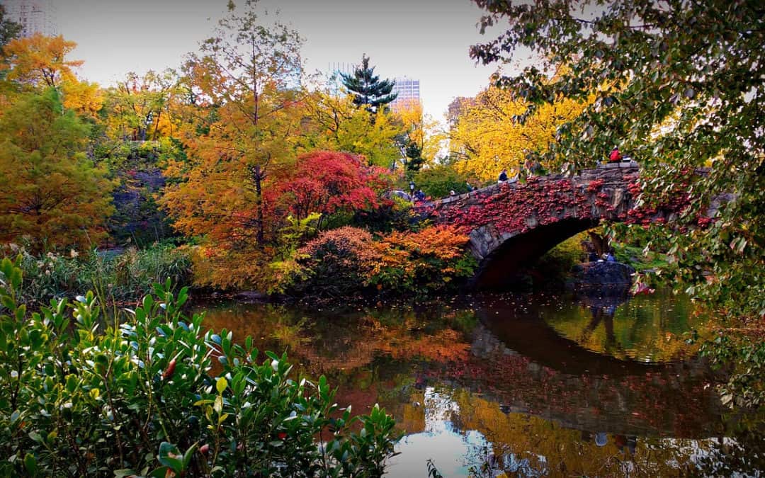 The Five Best Fall Date Ideas in NYC