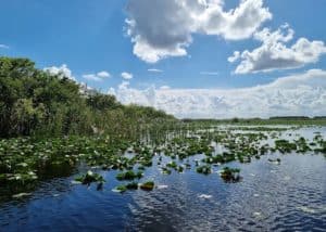 Everglades National Park Fort Lauderdale, FL