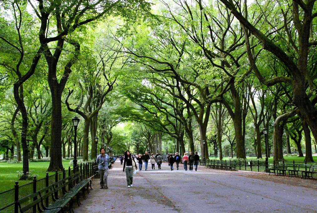 Central Park, NY