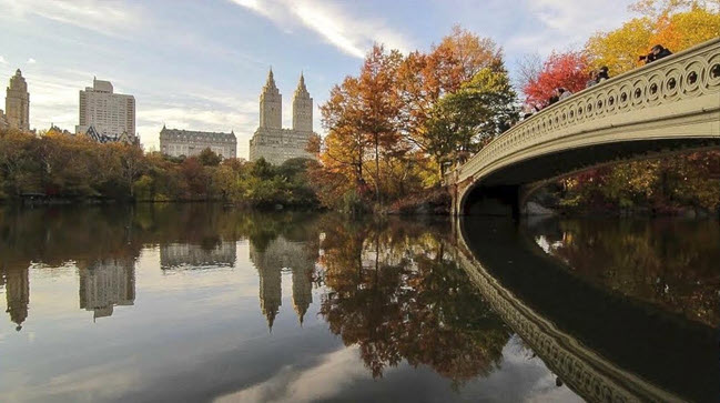 fall foliage Bridge No. 28 NYC