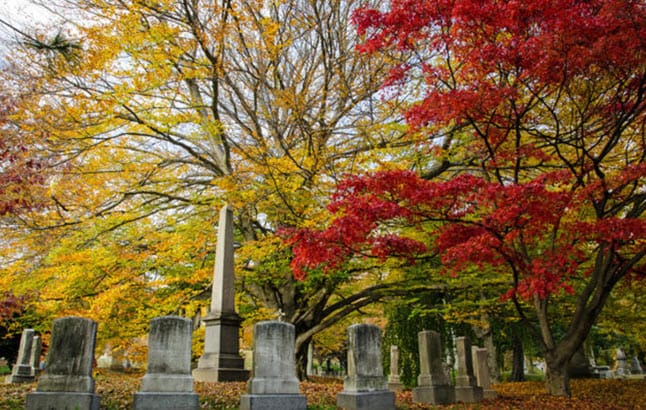 fall foliage Green-Wood Cemetery – Brooklyn