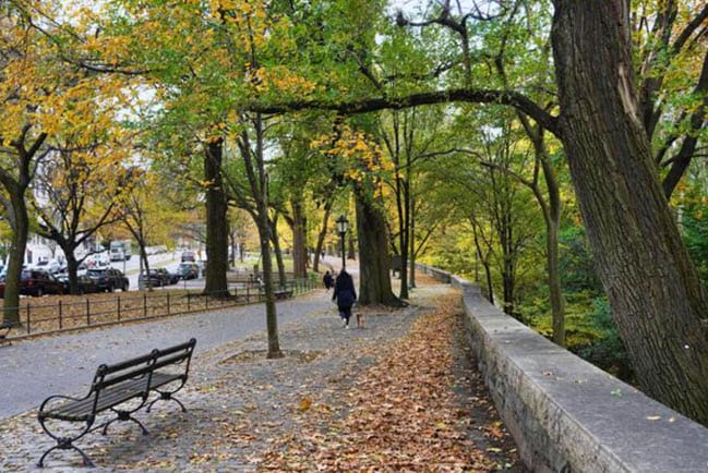 fall foliage Riverside Park – Manhattan