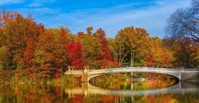 fall foliage The Bow Bridge