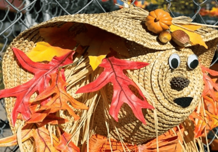 NYC Parks Present Fall Festival at St. James Park