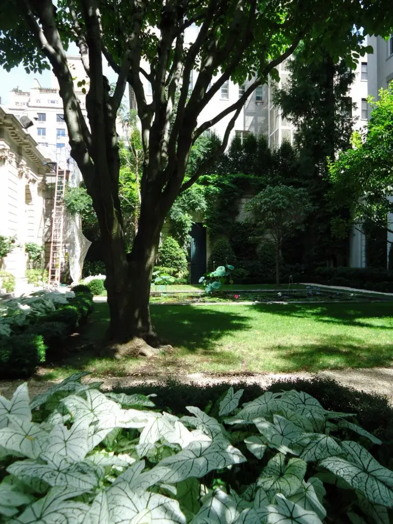 Frick Museum garden seen through gated fence
