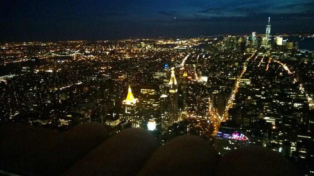 Night view from the Empire State Building observation deck