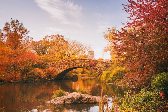 fall-foliage-Gapstow-Bridge