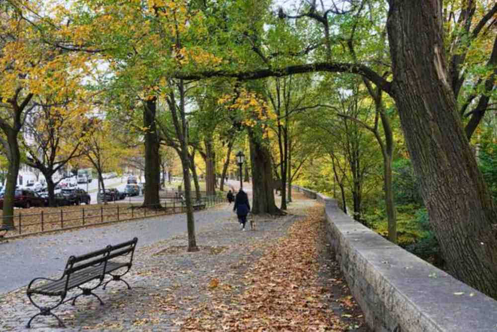 fall-foliage in Riverside Park Manhattan