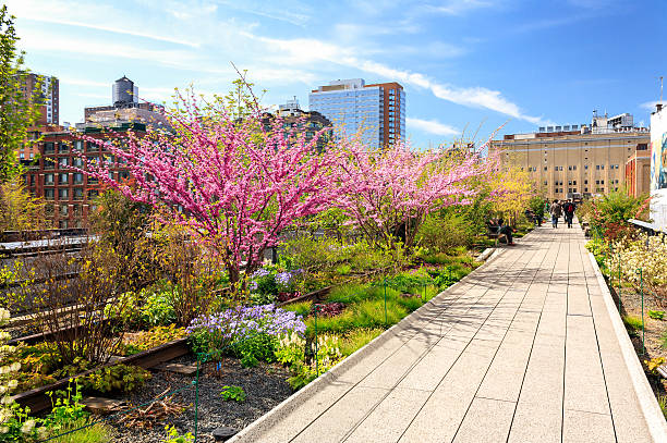 highline park NYC